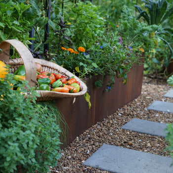 Corten Steel Raised Garden Bed