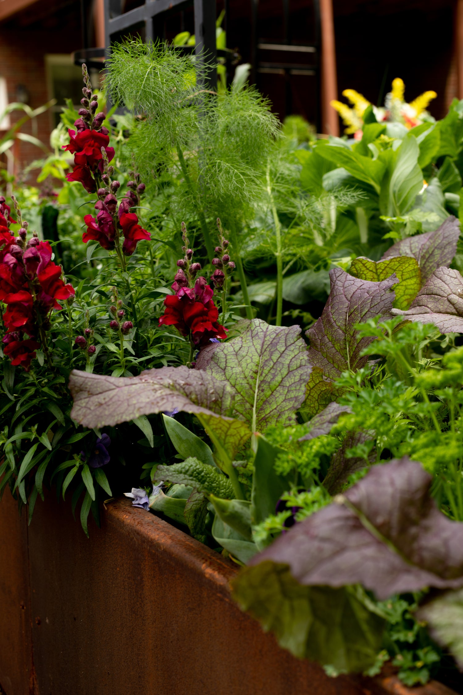 Corten Steel Raised Garden Bed