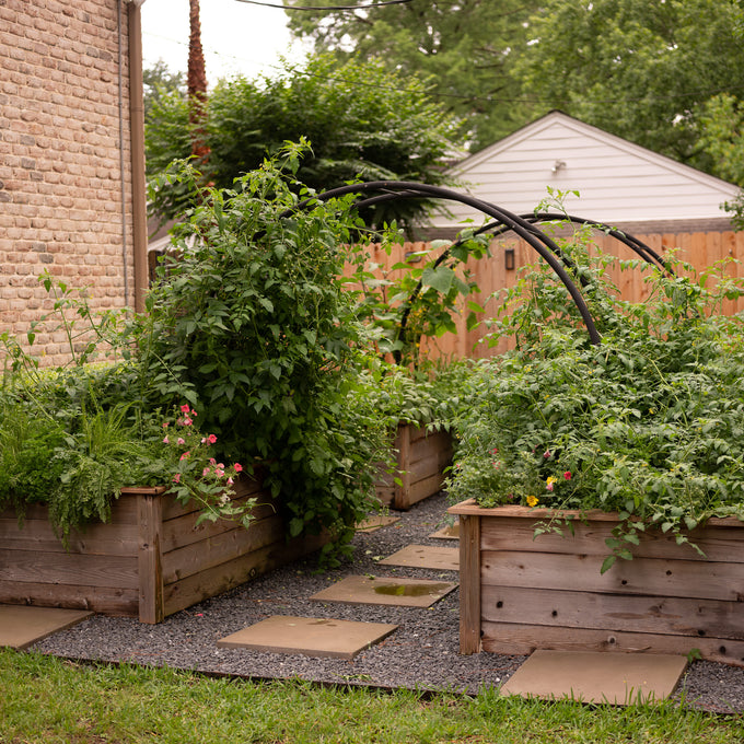The Marnie Kitchen Garden Bundle