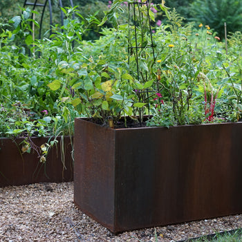 Corten Steel Raised Bed Container with Bottom