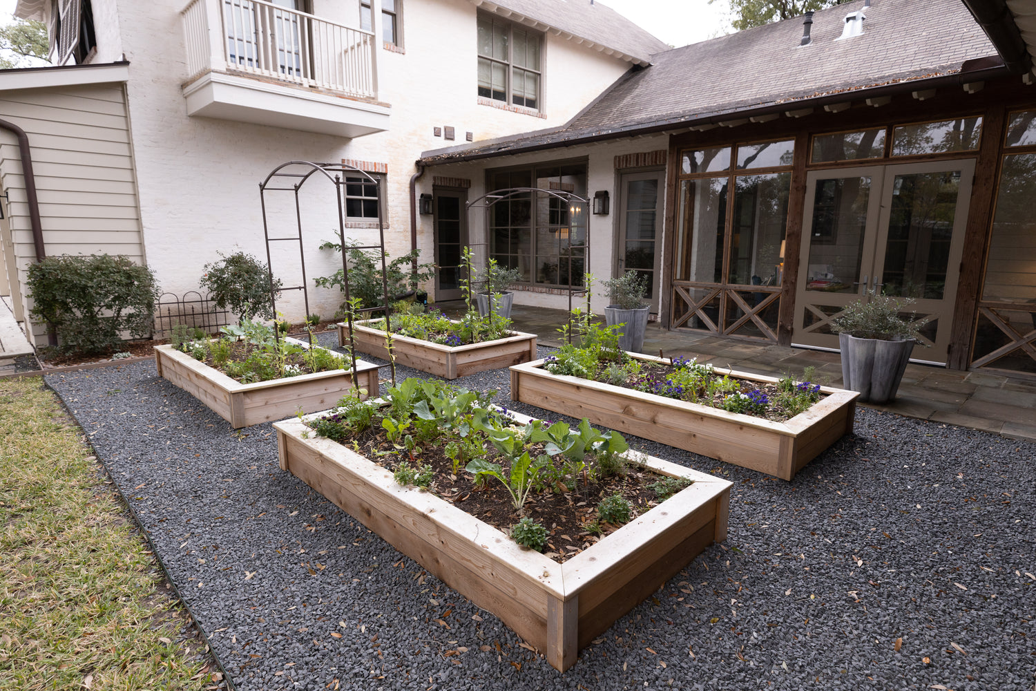 Amy Kitchen Garden Bundle
