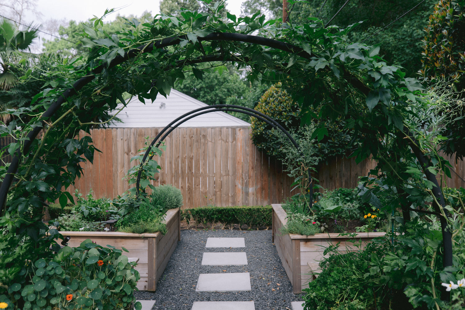 Marnie Kitchen Garden Bundle