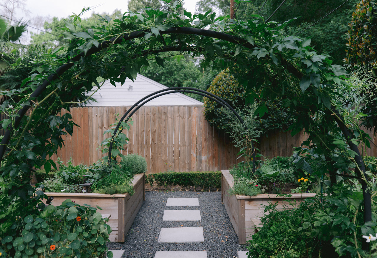 The Marnie Kitchen Garden Bundle