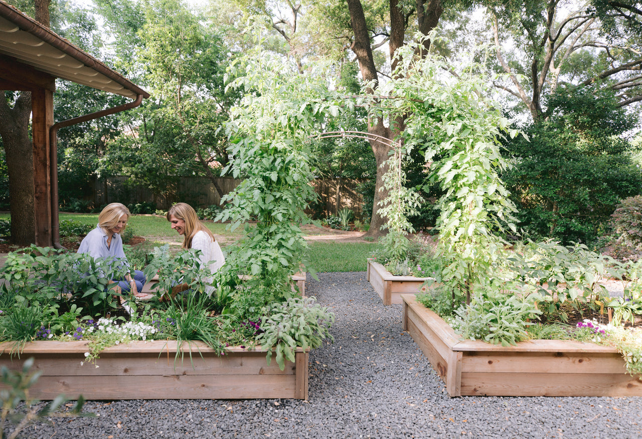 The Amy Kitchen Garden Package: Four 4' x 8' x 1' Cedar Raised Bed Kitchen Garden Package with Two Paris Arch Trellises