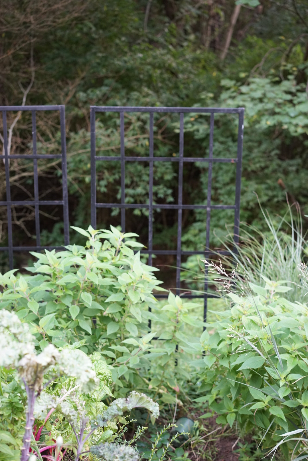 Nicole Panel Trellis