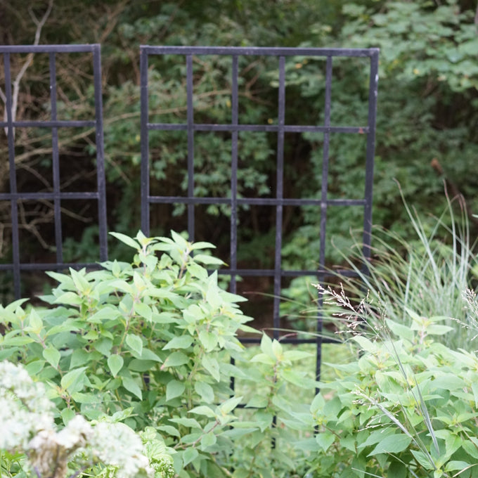 Nicole Panel Trellis