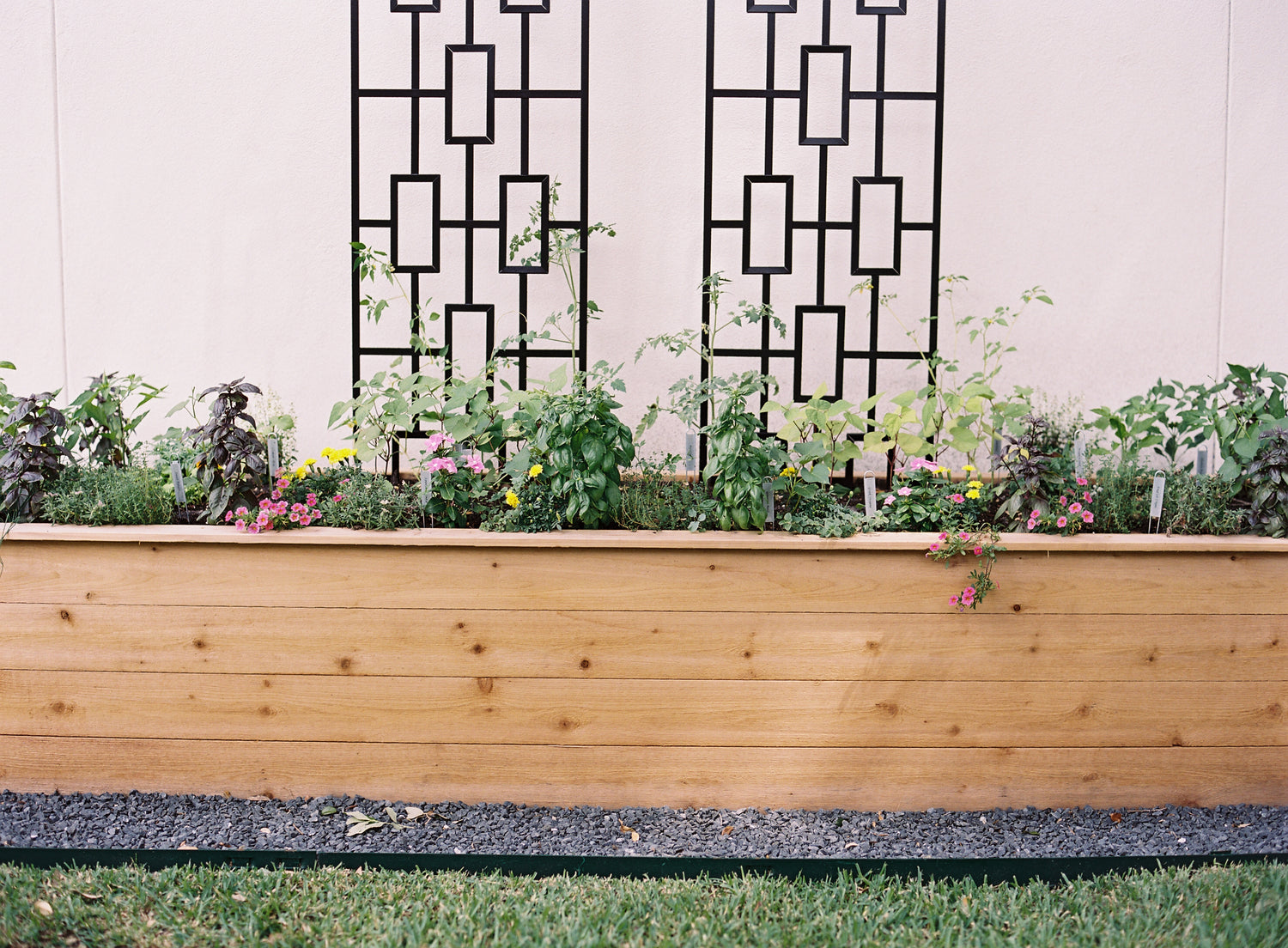 Rochelle Kitchen Garden Bundle