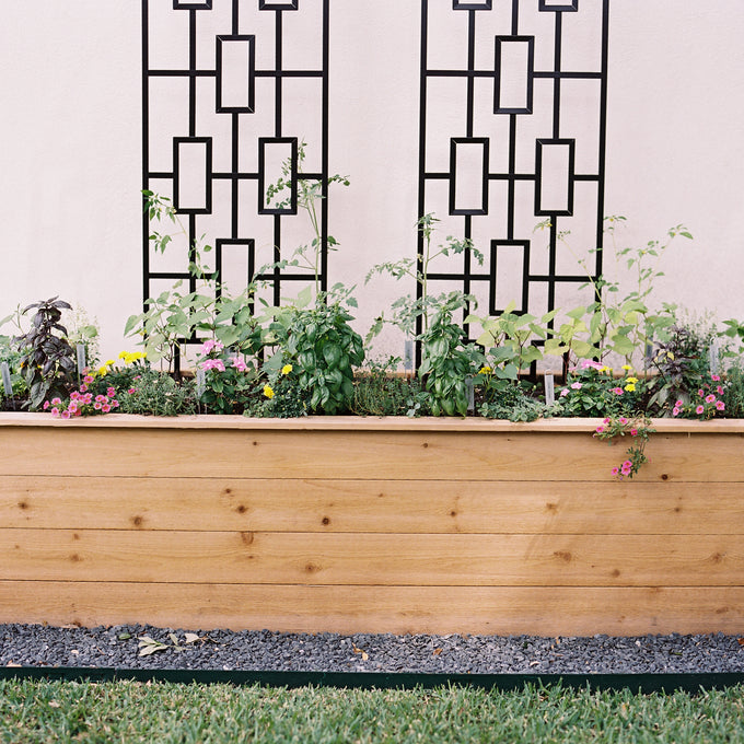 The Rochelle Kitchen Garden Bundle