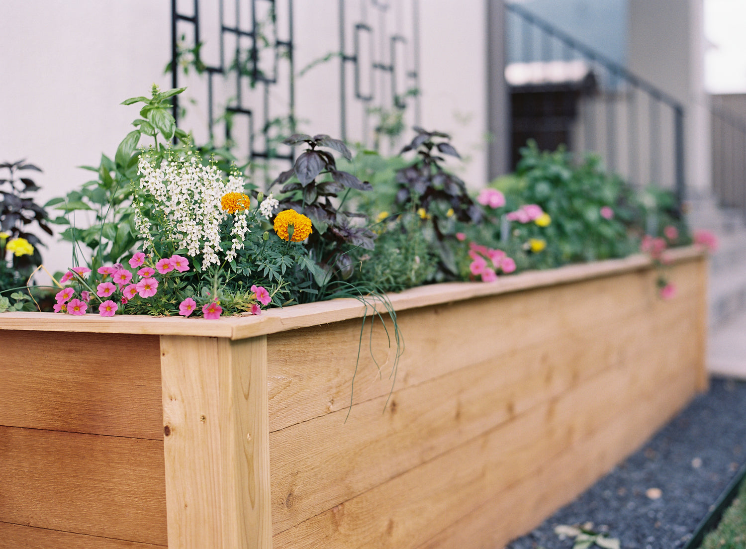 Rochelle Kitchen Garden Bundle