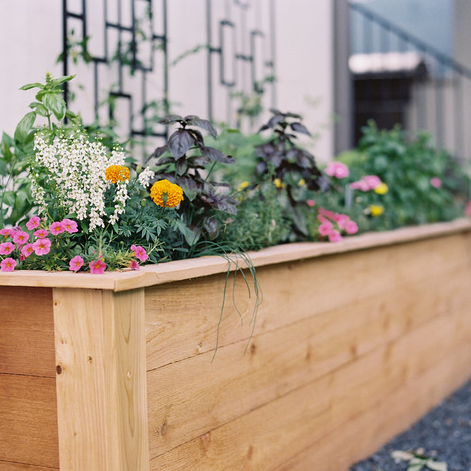 The Rochelle Kitchen Garden Bundle