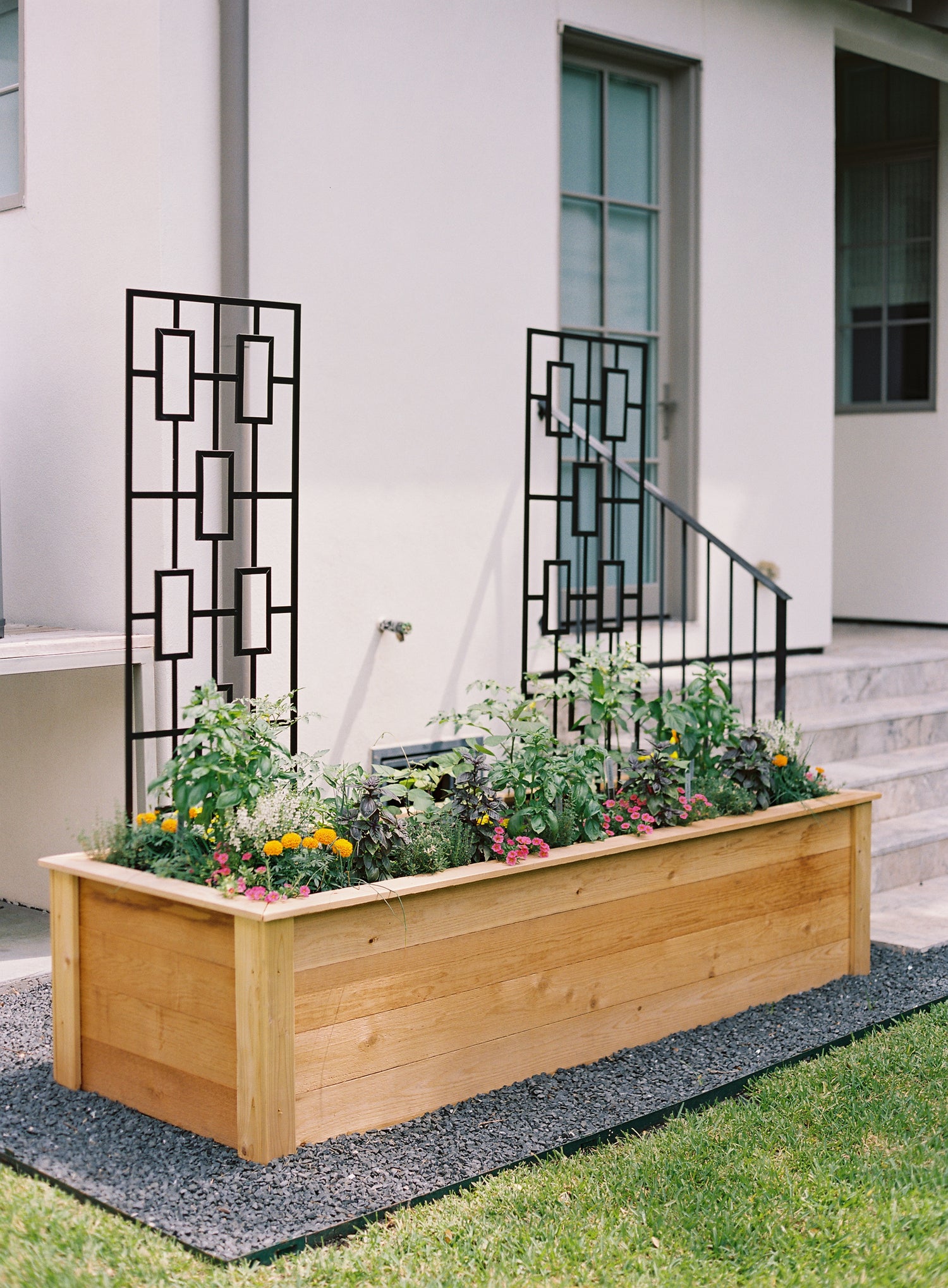 Rochelle Kitchen Garden Bundle