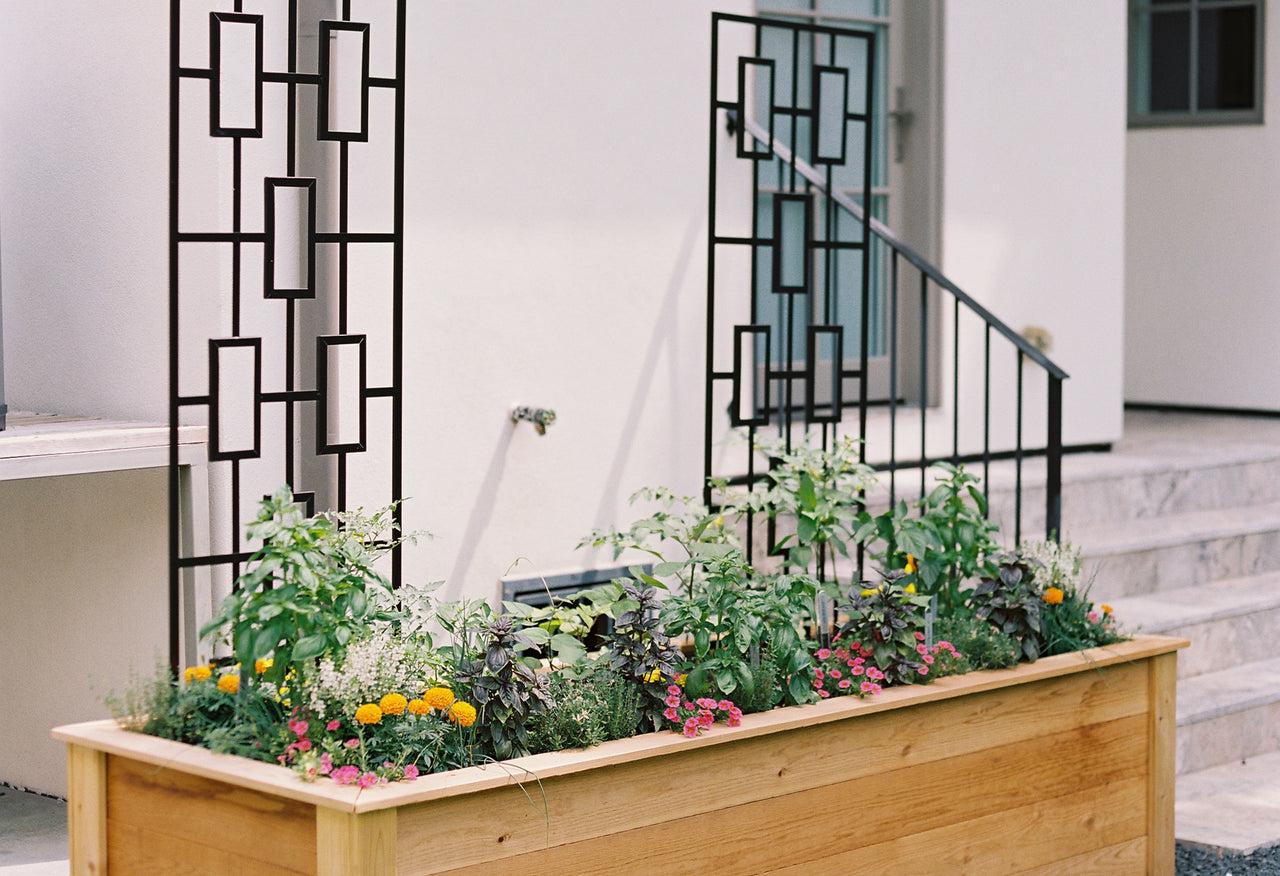 The Rochelle Kitchen Garden Bundle