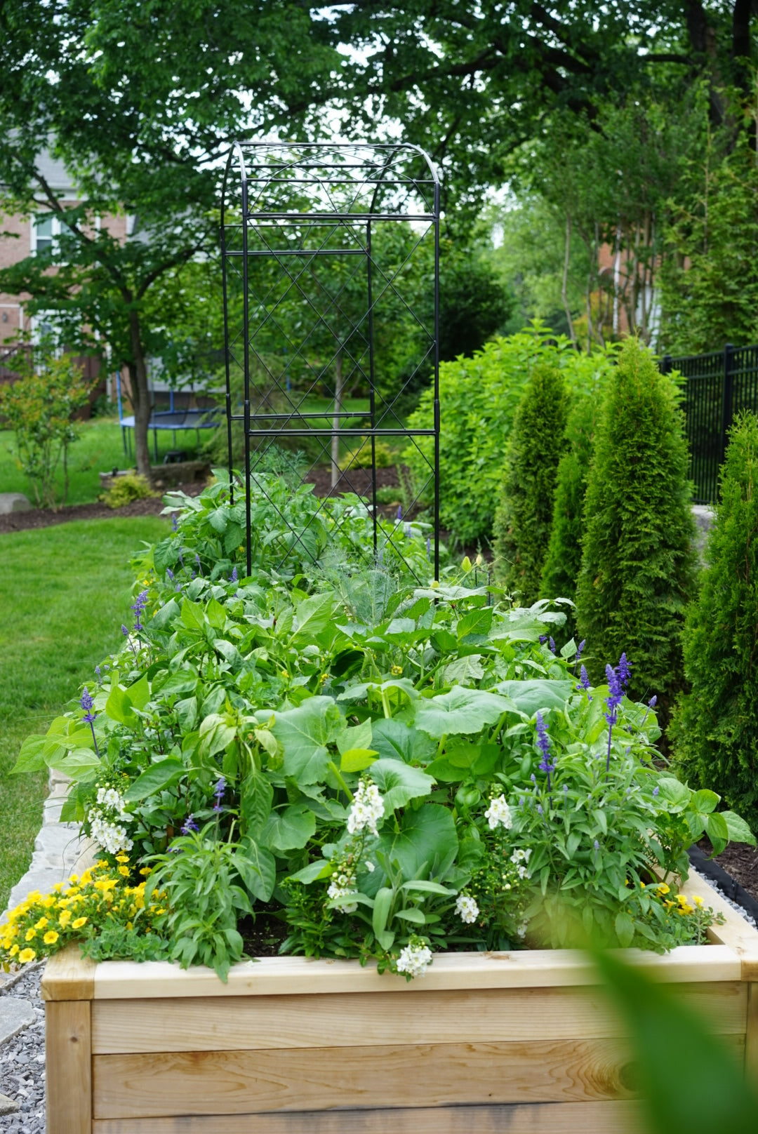 Paris Arch Trellis
