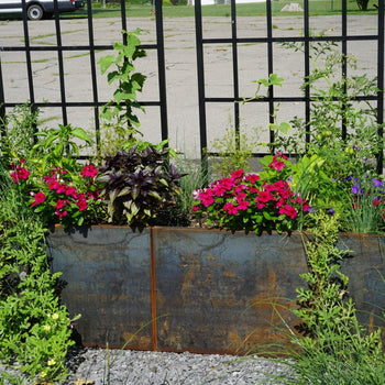 Corten Steel Border Raised Garden Bed