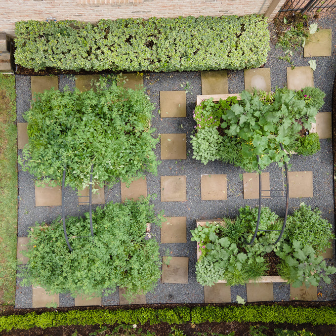 The Marnie Kitchen Garden Bundle