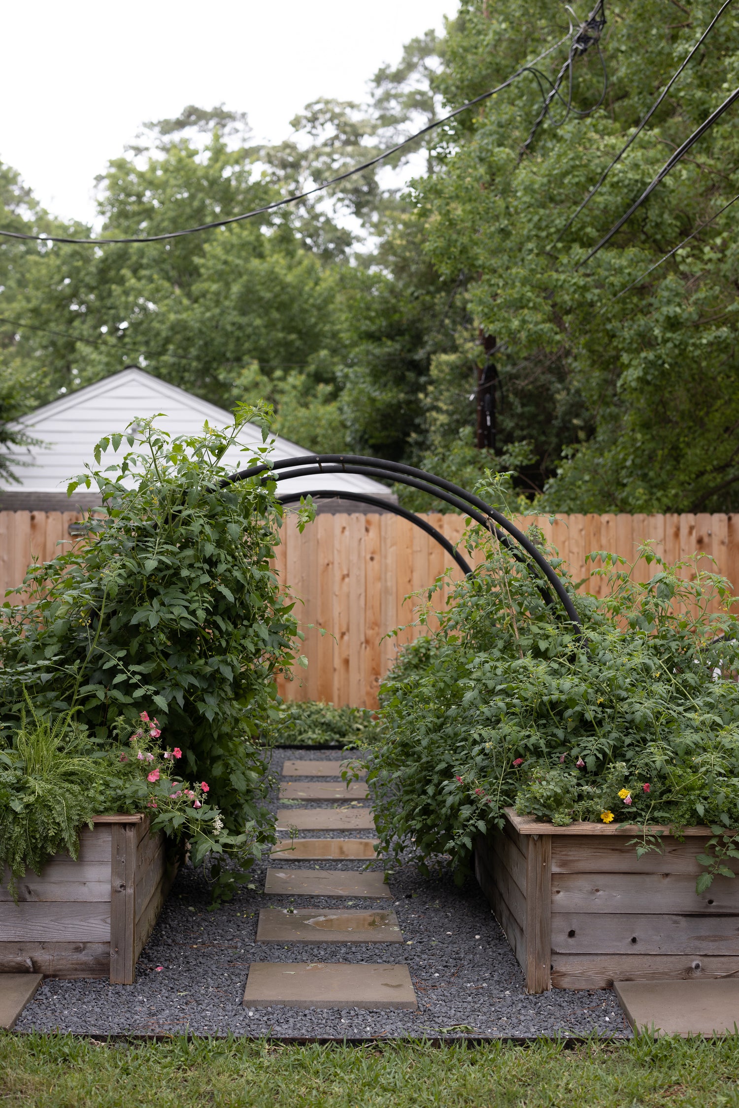 Marnie Kitchen Garden for KGA