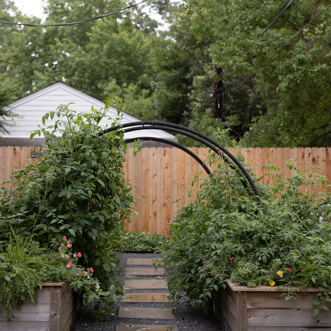 The Marnie Kitchen Garden Bundle