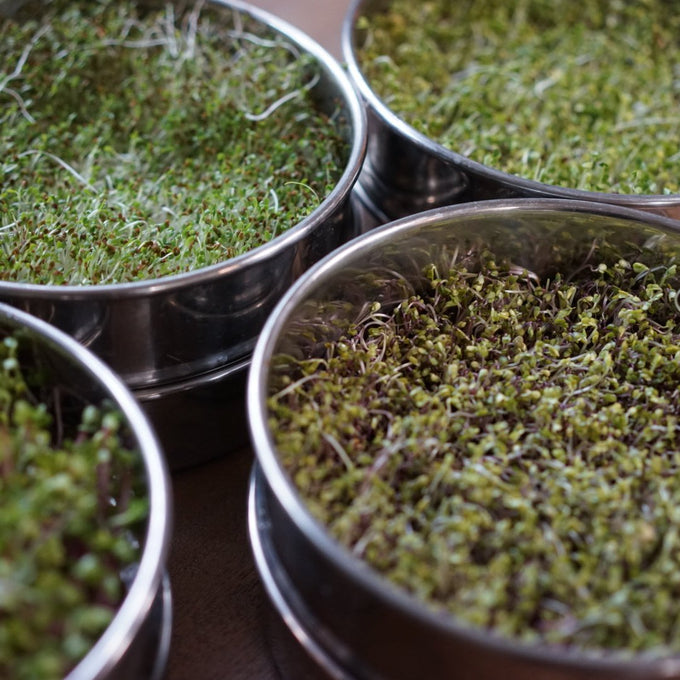 Sprout System by Gardenary
