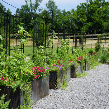 Corten Steel Border Raised Garden Bed