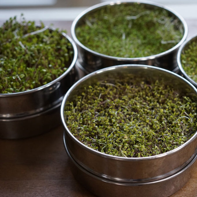 Sprout System by Gardenary