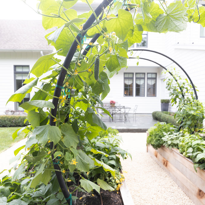 Modern Arch Trellis