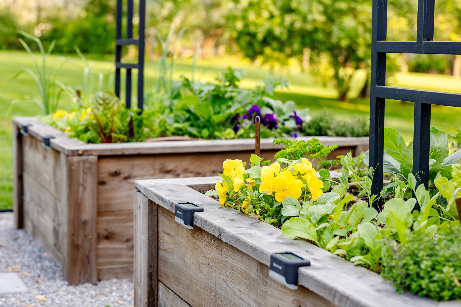 Allison Kitchen Garden Bundle for KGA