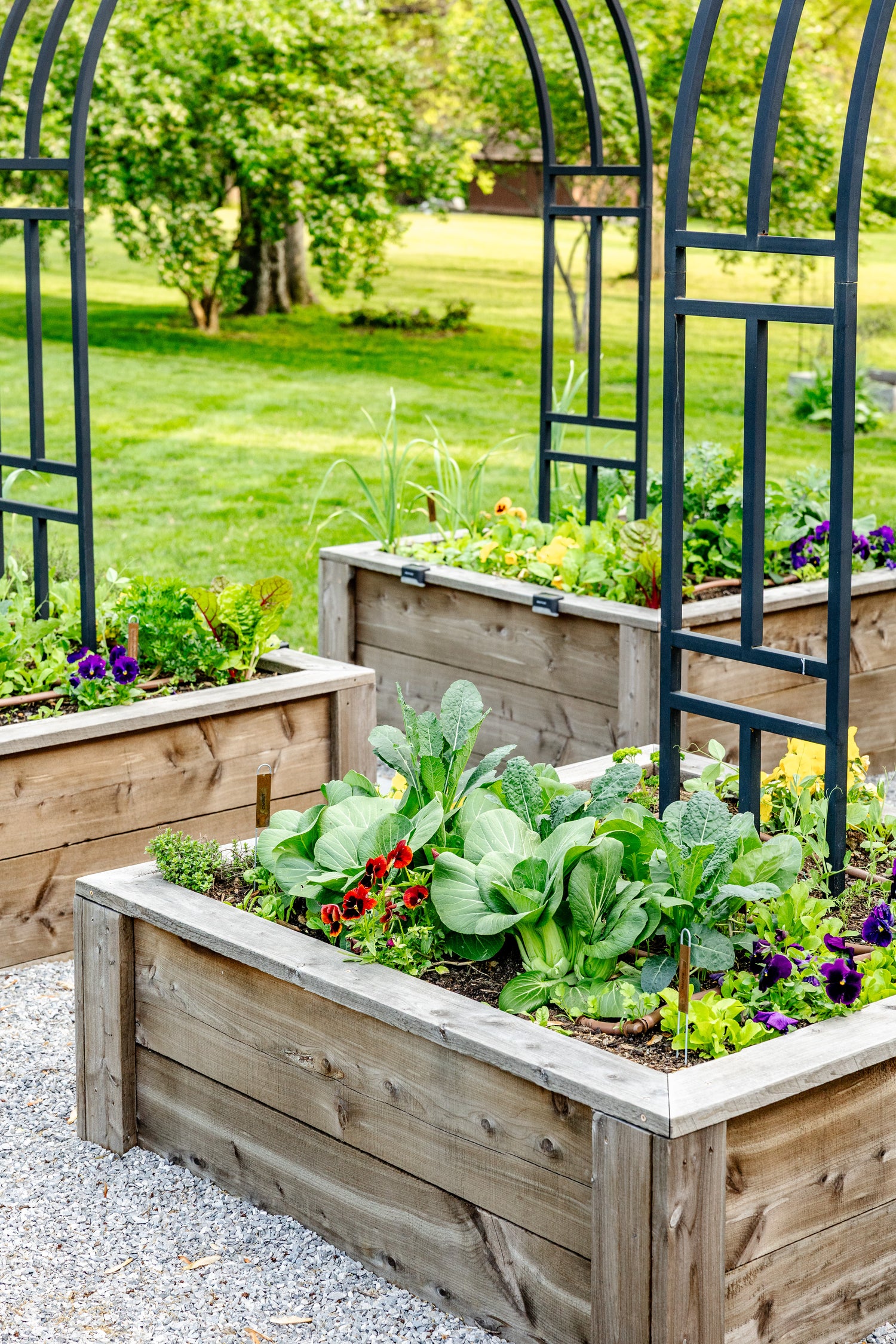 Allison Kitchen Garden Bundle for KGA