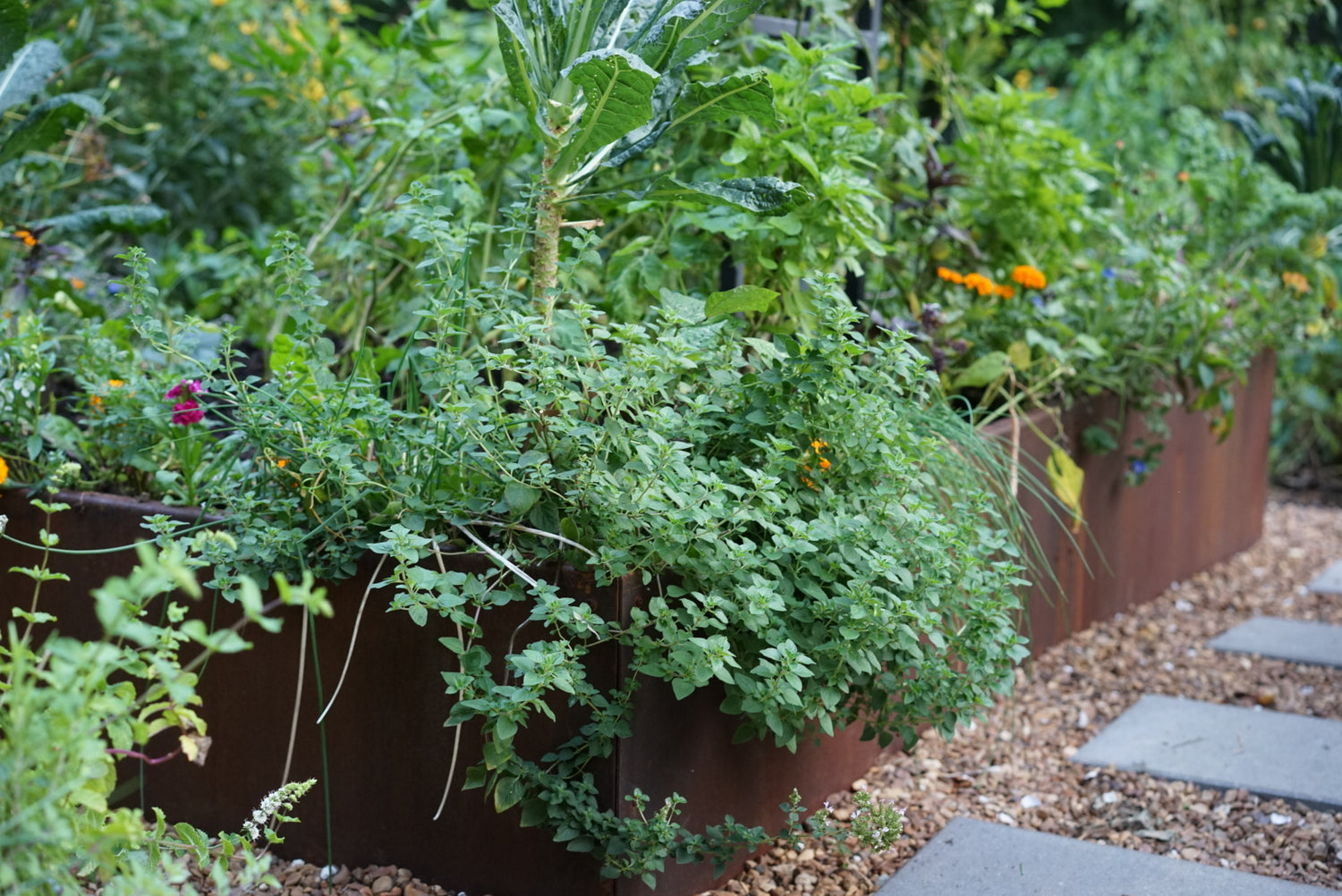 Nicole Formal Potager Kitchen Garden