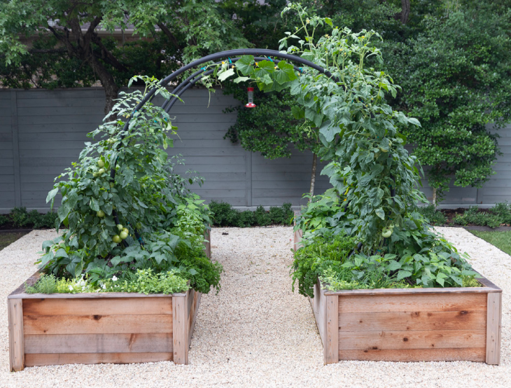 Modern Twin Cedar Garden Bundle
