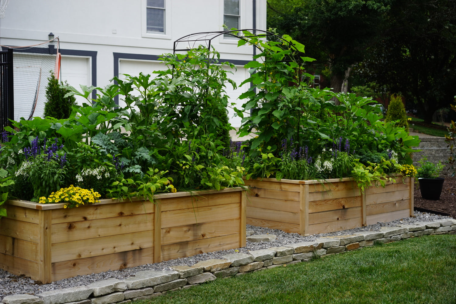 Natalie Kitchen Garden Bundle