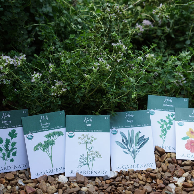 New Year Seed System