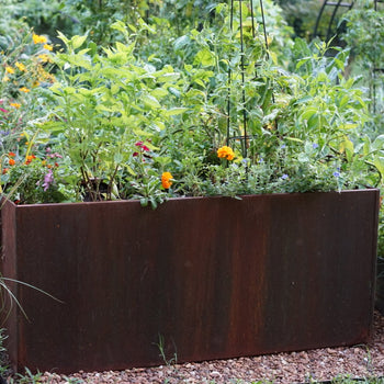 Corten Steel Raised Bed Container with Bottom