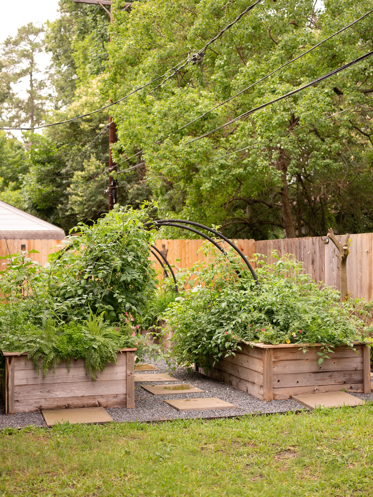 Marnie Kitchen Garden for KGA