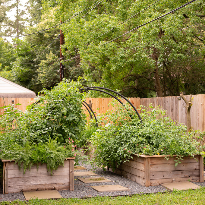 The Marnie Kitchen Garden Bundle