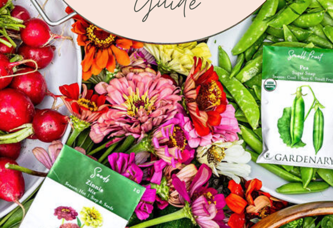 Easy Seed Growing Guide