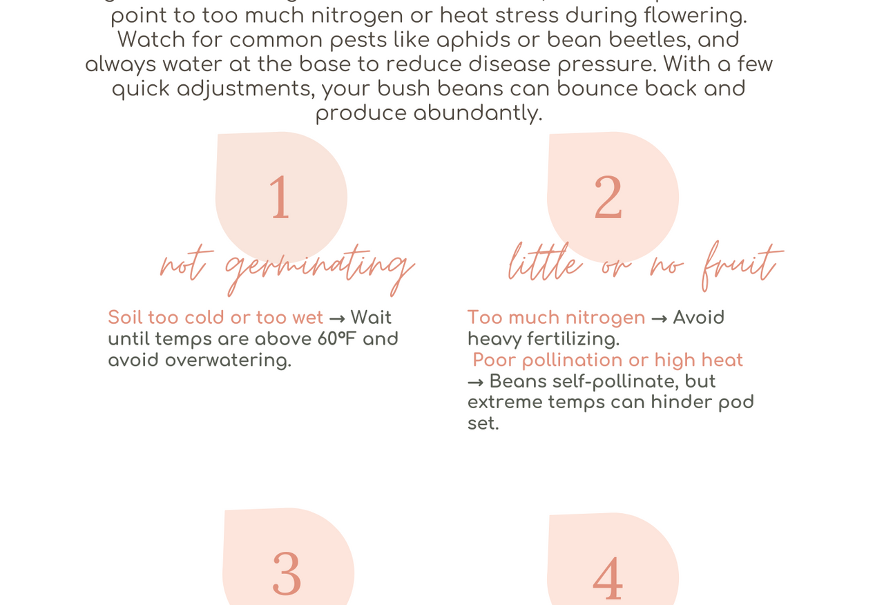 Easy Seed Growing Guide