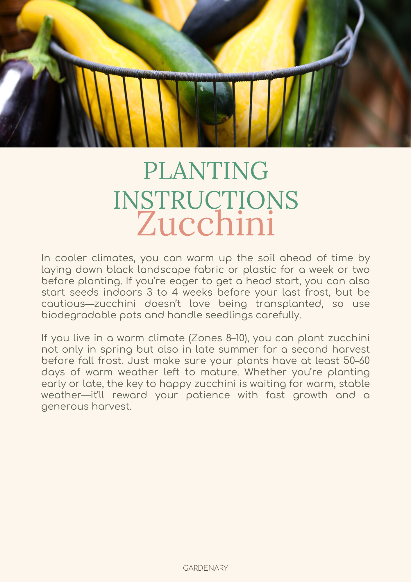 Easy Seed Growing Guide