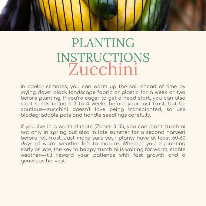 Easy Seed Growing Guide