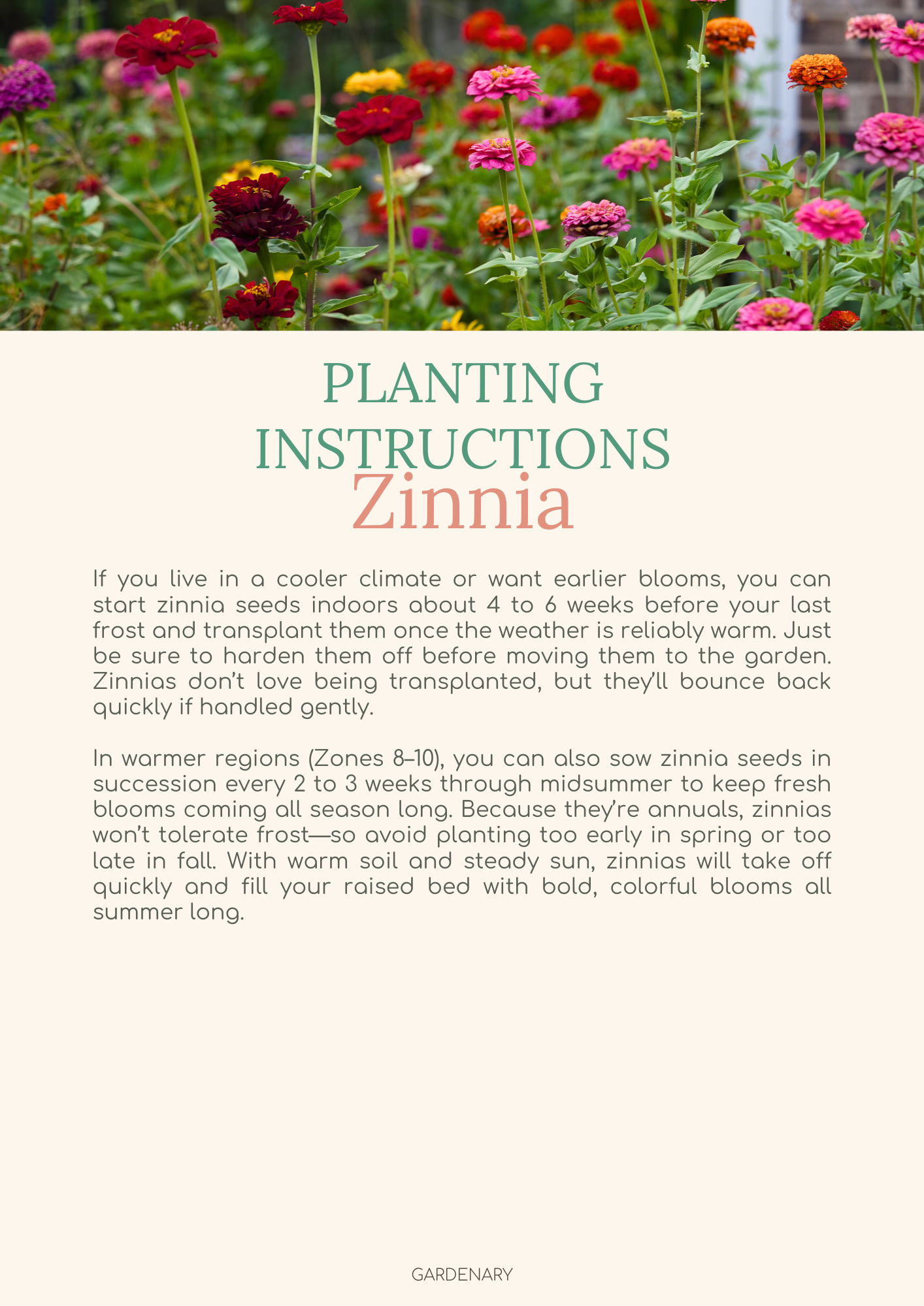 Easy Seed Growing Guide