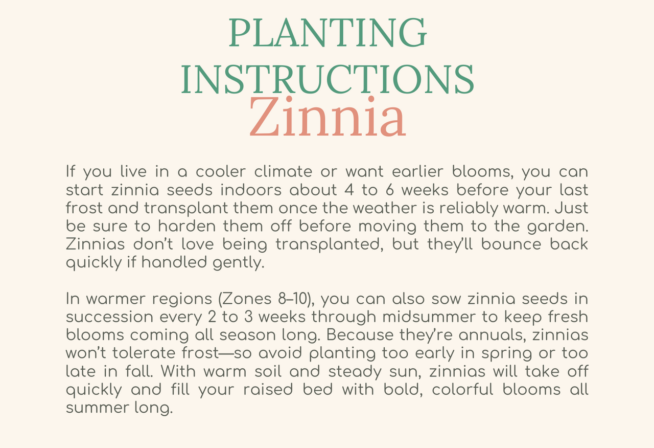 Easy Seed Growing Guide