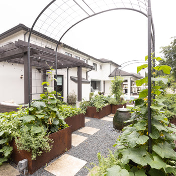 Formal Potager Arch Trellis