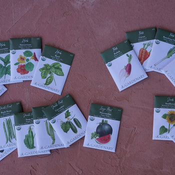 Summer Seed Collection