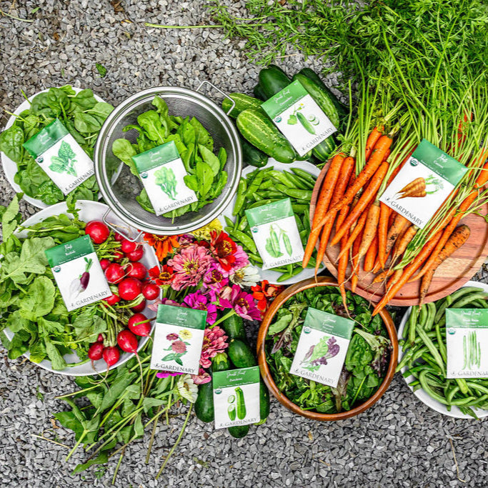 10 Essential Garden Seeds - Free with Shipping
