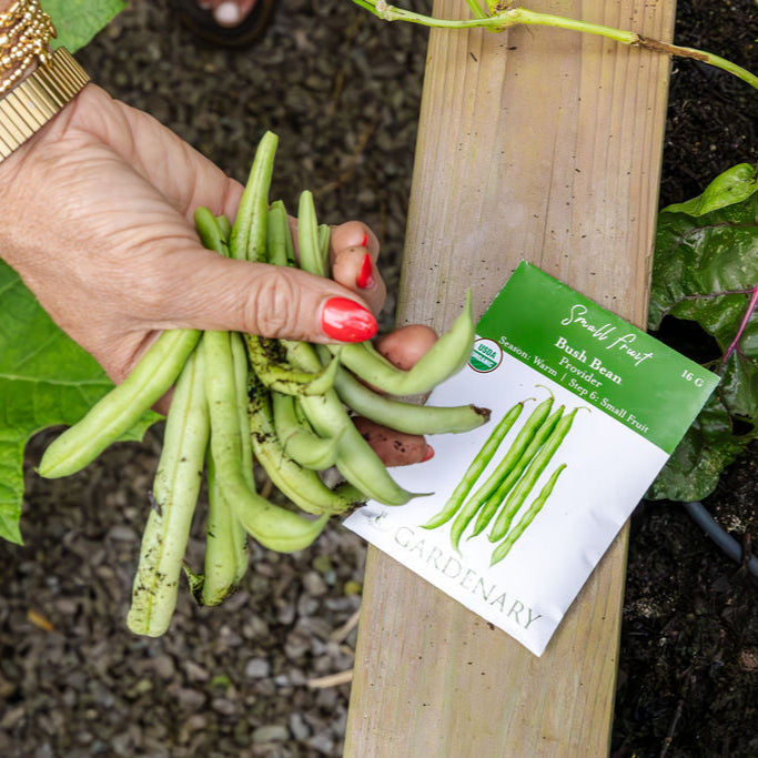 10 Essential Garden Seeds - Free with Shipping
