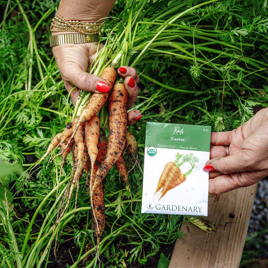10 Essential Garden Seeds - Free with Shipping