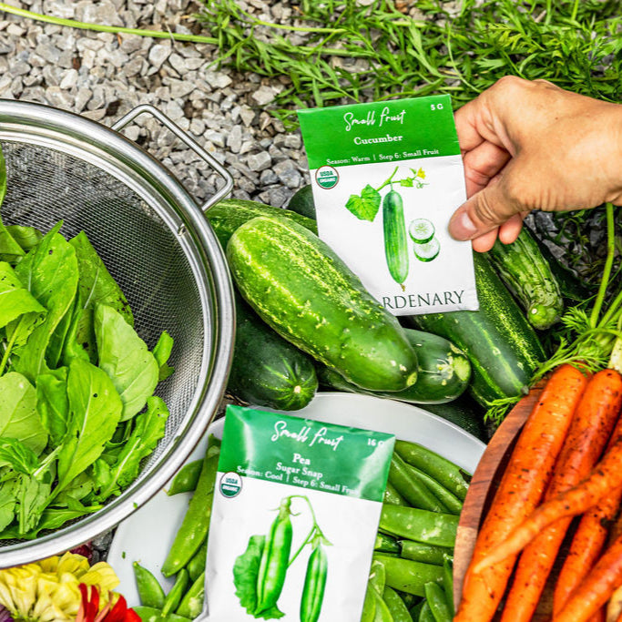 10 Essential Garden Seeds - Free with Shipping