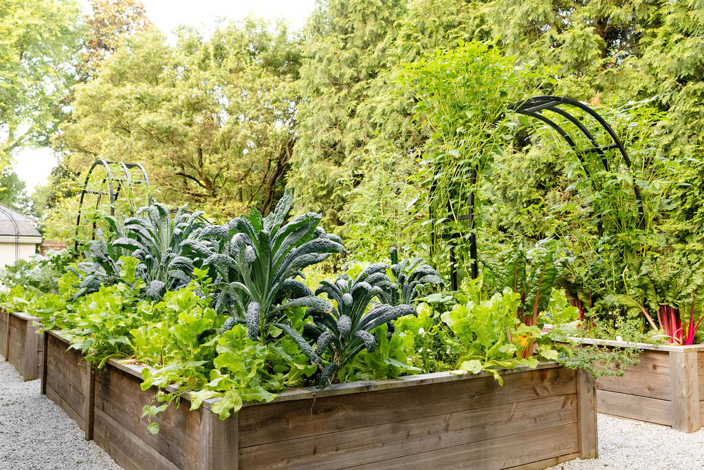 Nicole Arch Trellis