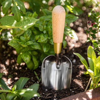 Stainless and Brass Trowel