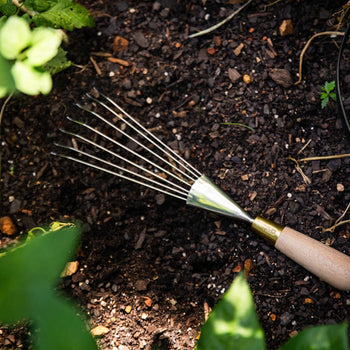 Stainless and Brass Hand Rake