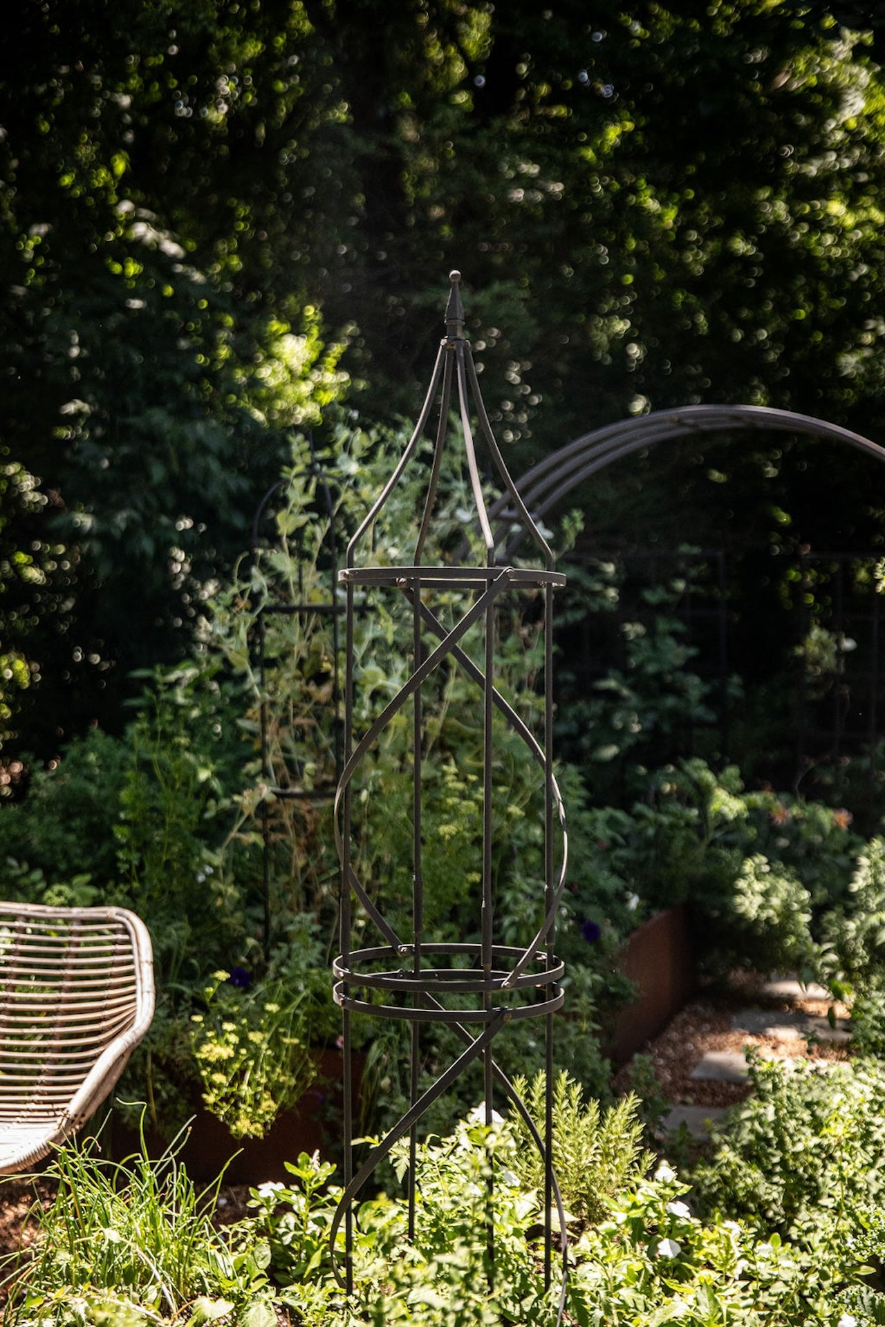 Border Tuteur Trellis